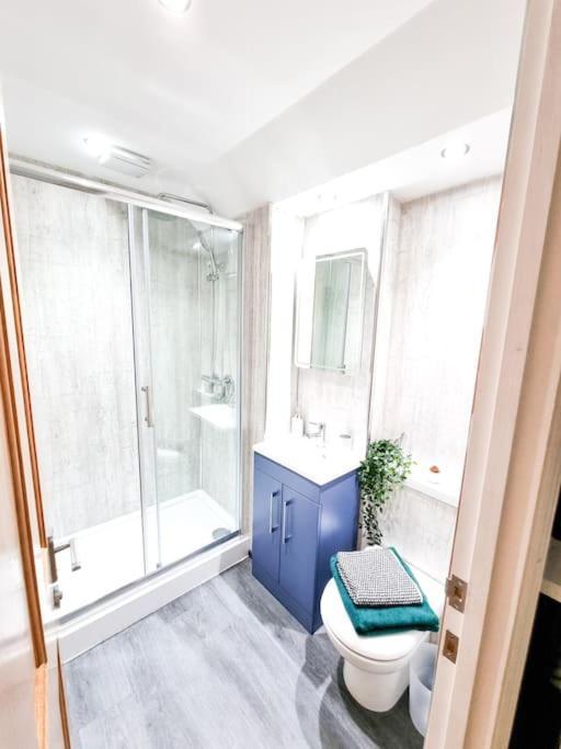 Gorgeous Newly Renovated 2 Double Bed Flat Swansea Exterior foto